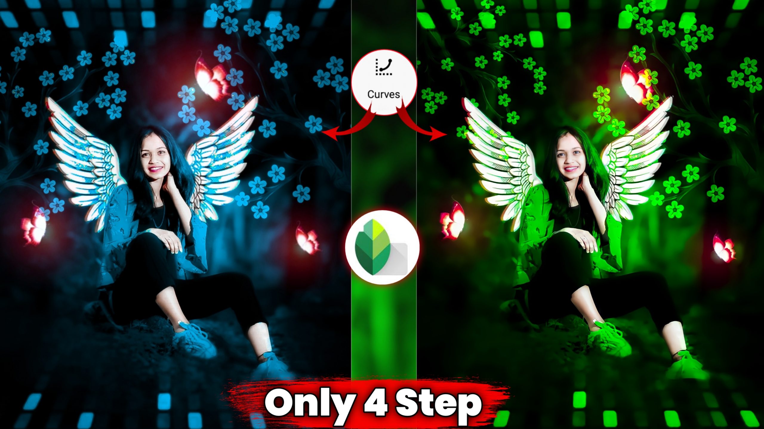 Snapseed Creative Wings Photo Editing Download PNG